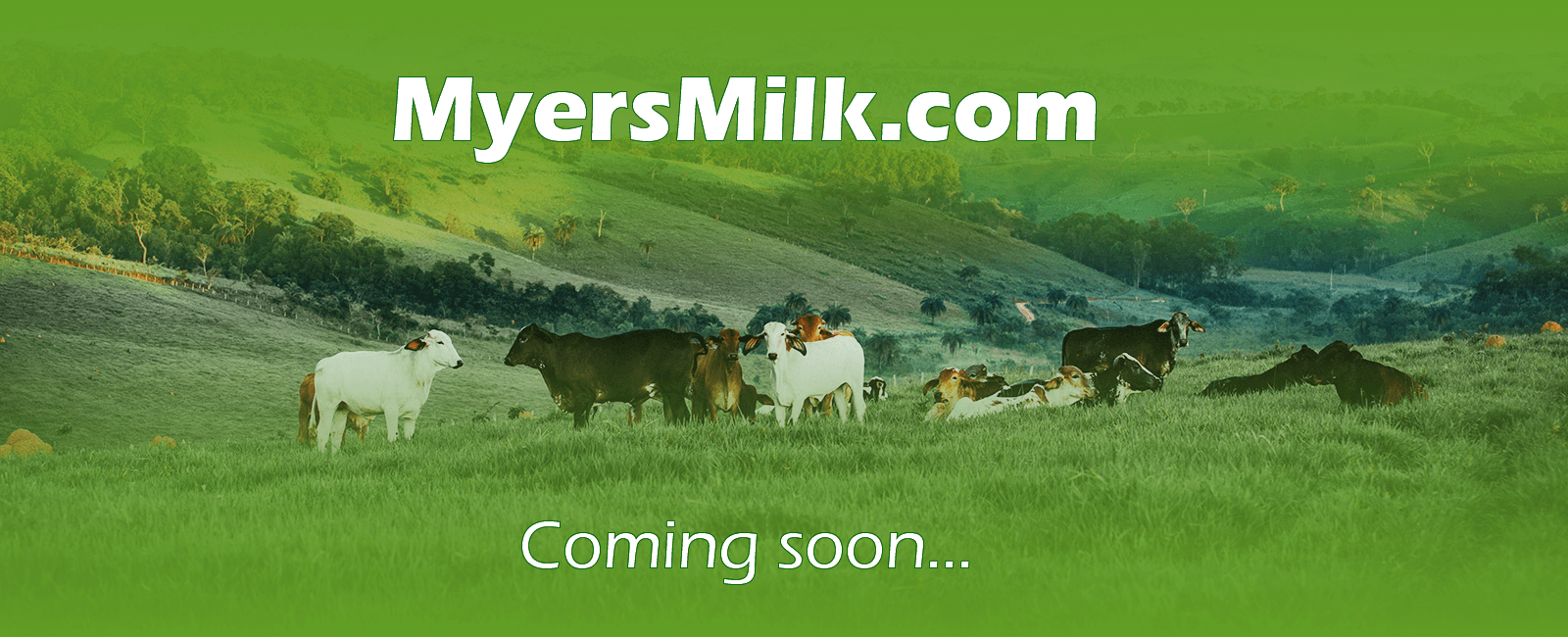 MyersMilk.com is coming soon!